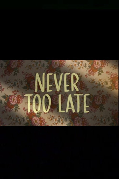 Never Too Late (2025)