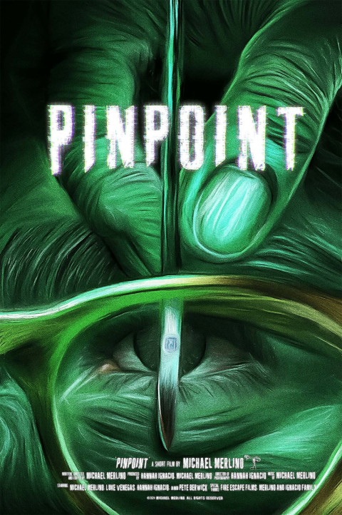 PINPOINT (2025)