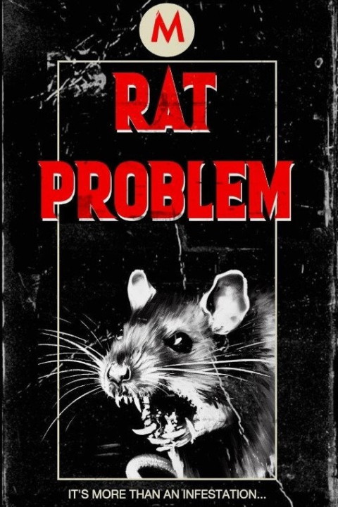 Rat Problem (2025)
