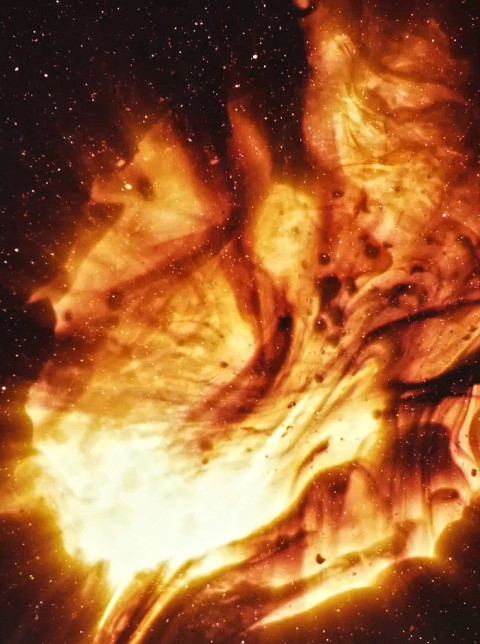 Stellar Iris (2025)