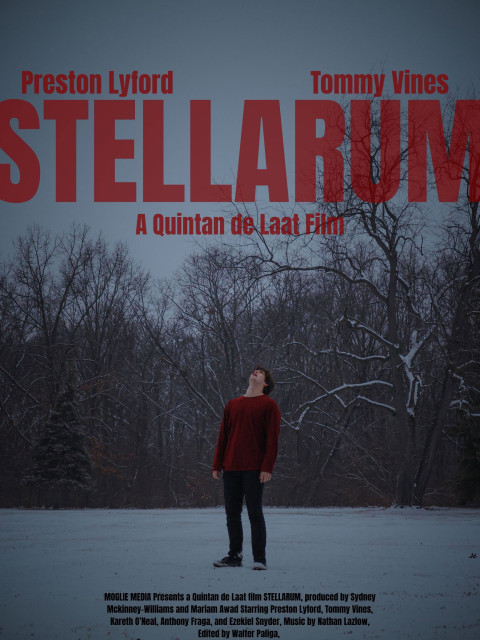 STELLARUM (2025)