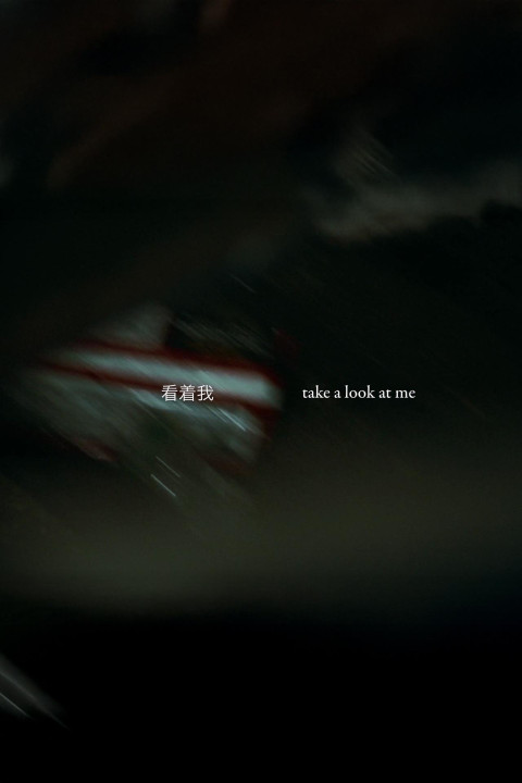 Take a Look at Me (2025)