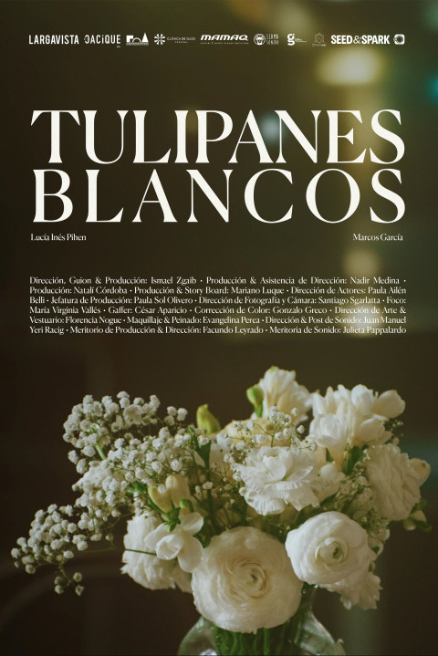 Tulipanes blancos (2025)