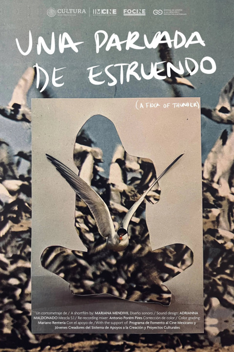 Una parvada de estruendo (2025)