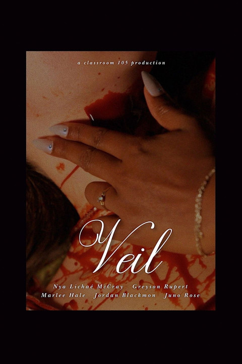 Veil (2025)