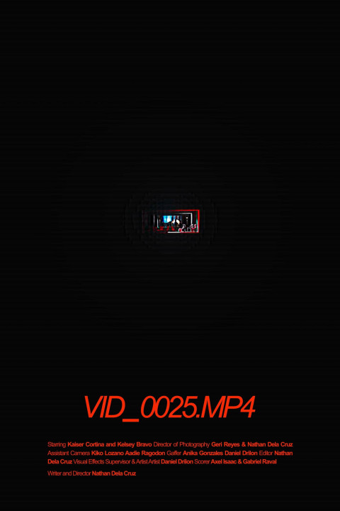 VID_0025.MP4 (2025)