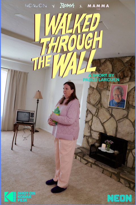 I Walked Through the Wall (2025)