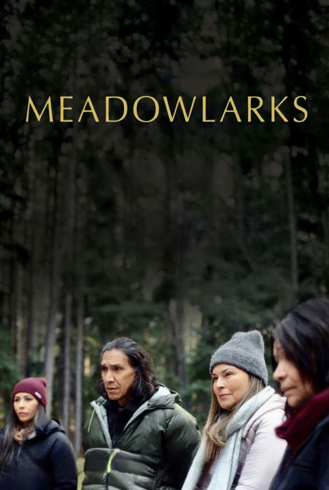 Meadowlarks