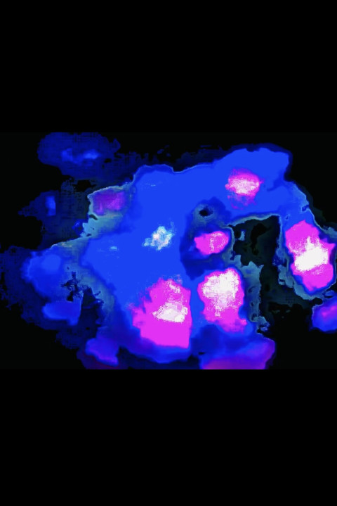 MIDNIGHT BLISS (2025)