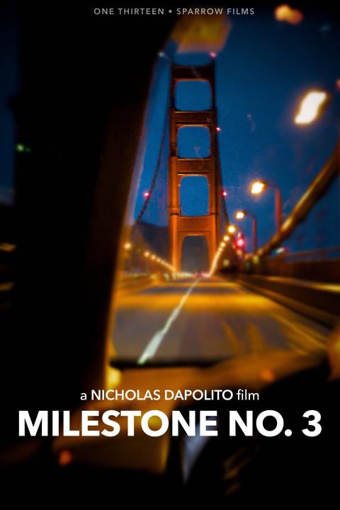 Milestone No. 3 (2025)