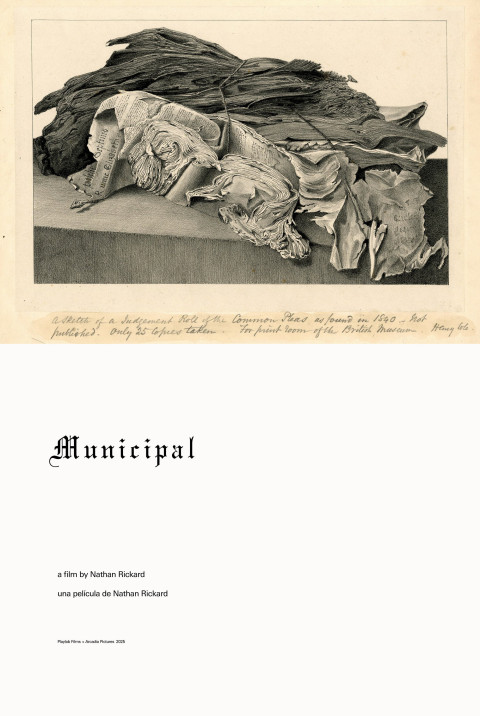 Municipal (2025)