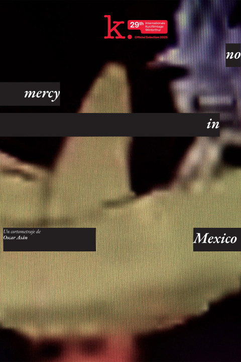 no_mercy_in_mexico (2025)