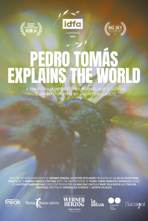 Pedro Tomás Explica El Mundo (2025)