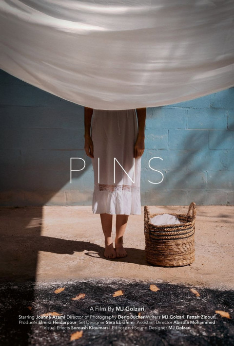 Pin (2025)