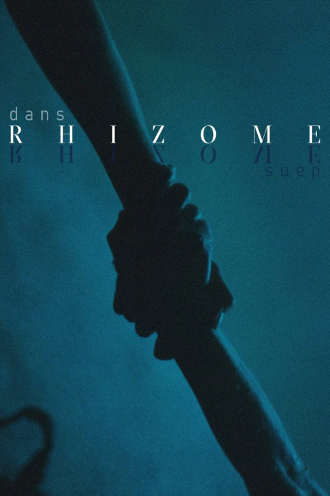 Rhizome (2025)