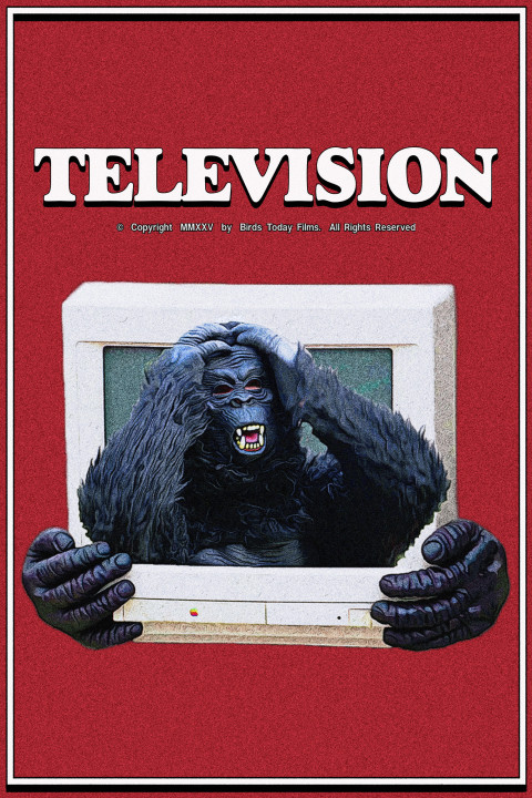 Television (2025)