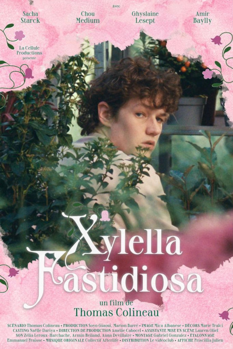 Xylella Fastidiosa (2025)
