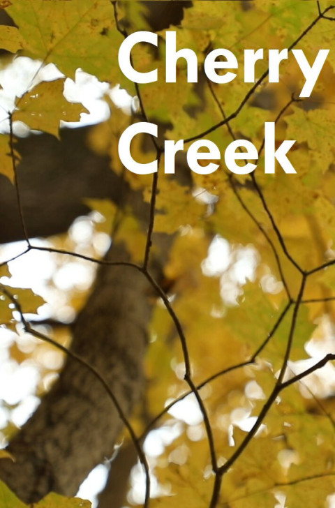 Cherry Creek (2025)