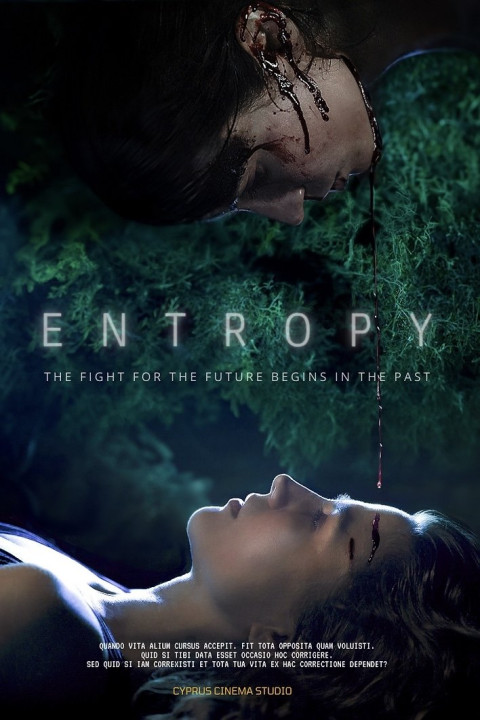Entropy (2025)