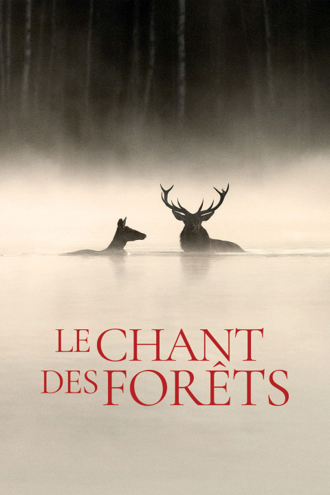 Le chant des forêts (2025)