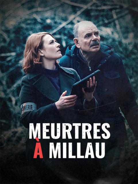 Meurtres à Millau (2025)
