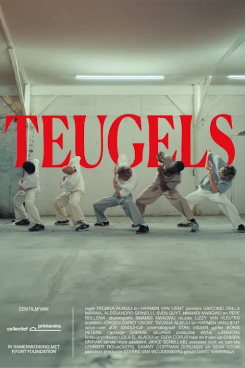 Teugels (2025)