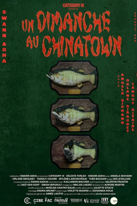 Un dimanche au Chinatown (2025)