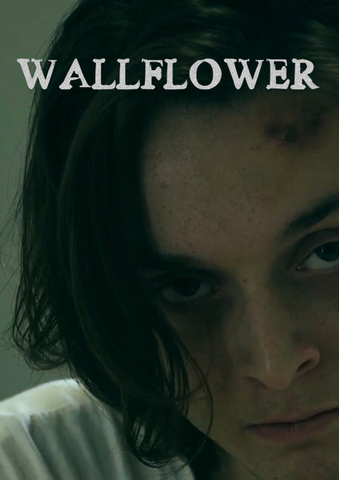 Wallflower (2025)