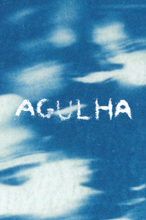 AGULHA (2026)