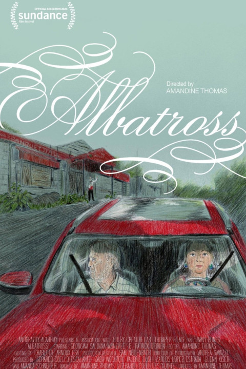 Albatross (2026)