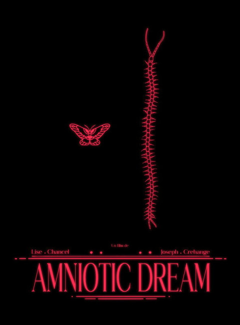 Amniotic Dream (2026)