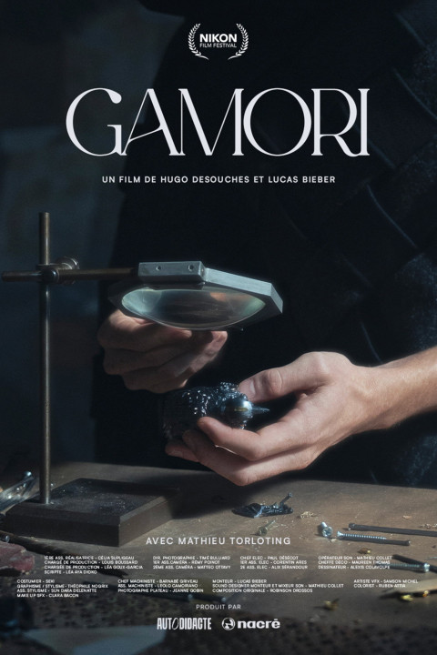 GAMORI (2026)