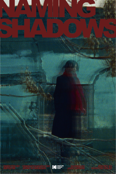 Naming Shadows (2026)