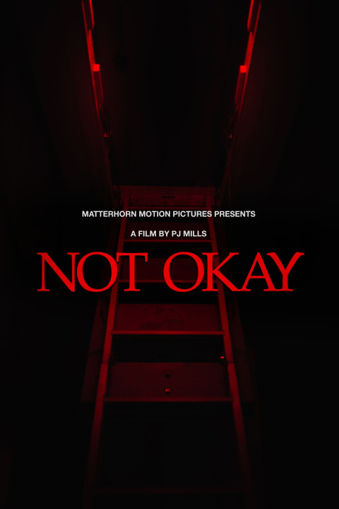 Not Okay (2026)