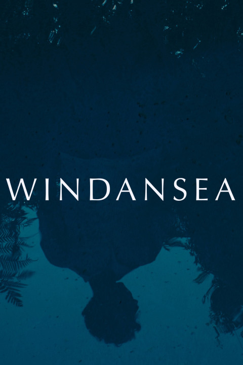 Windansea (2026)