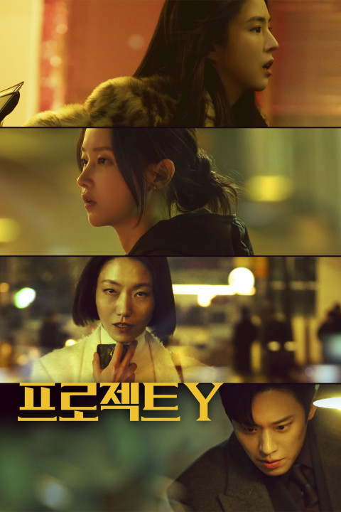 프로젝트 Y (2026)