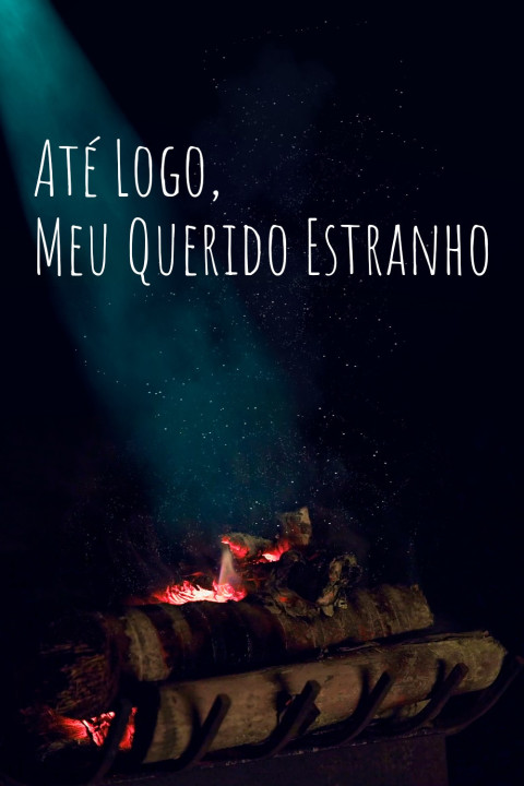 Até Logo, Meu Querido Estranho (2026)