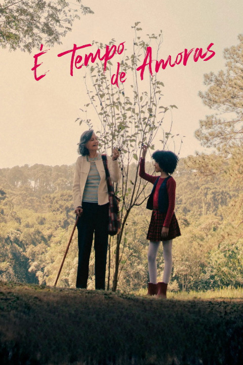 É Tempo de Amoras (2026)
