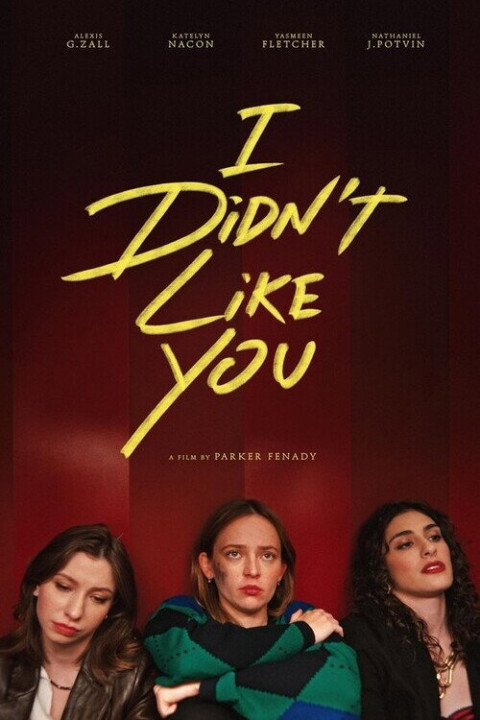 I Didn't Like You (2026)