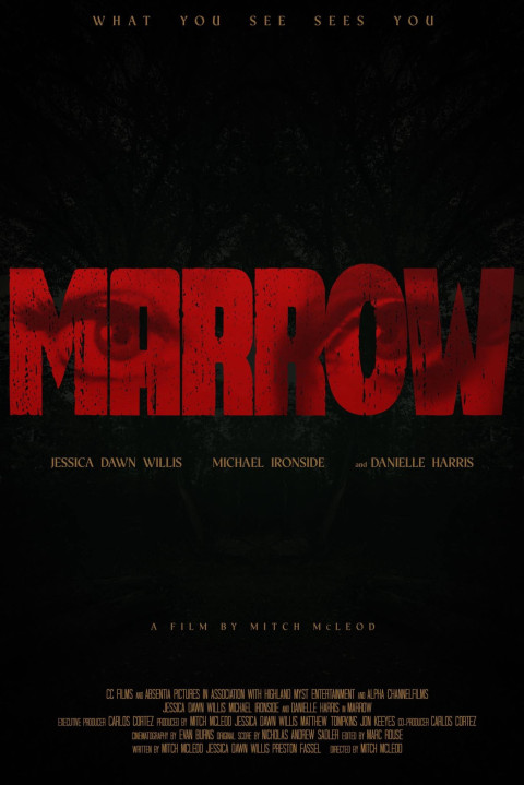 Marrow (2026)
