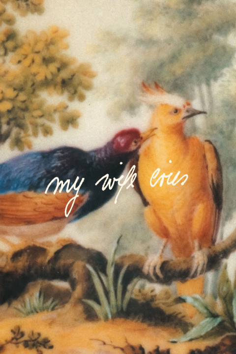 Meine Frau weint (2026)