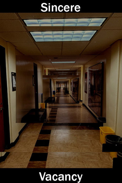 Sincere Vacancy (2026)
