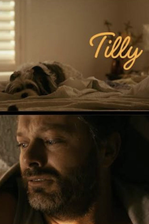 Tilly (2026)