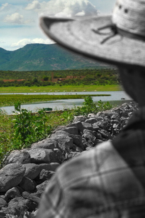 Un respiro (2026)