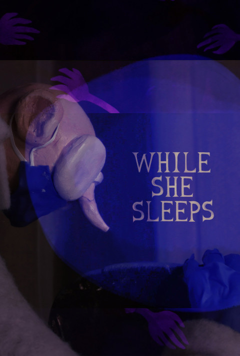 While She Sleeps (2026)