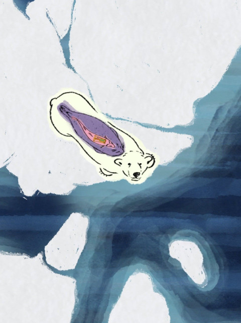 Arctic Shifts (2026)