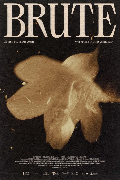 Brute (2026)