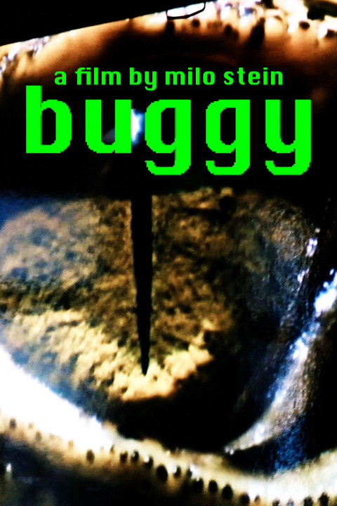buggy (2026)