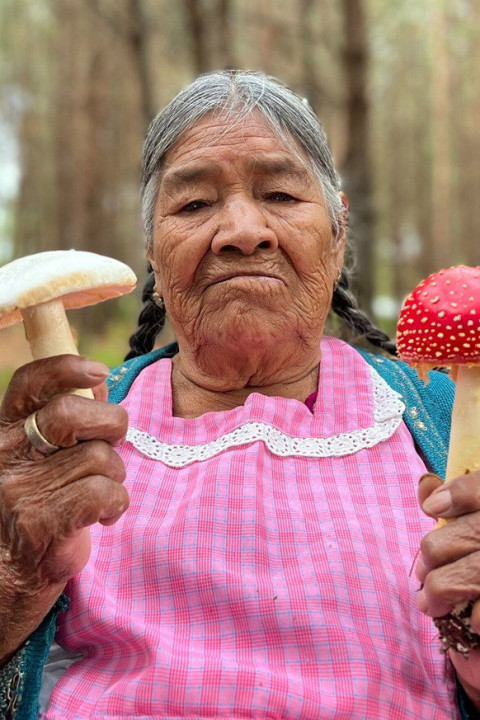 Daughters of the Forest (2026)