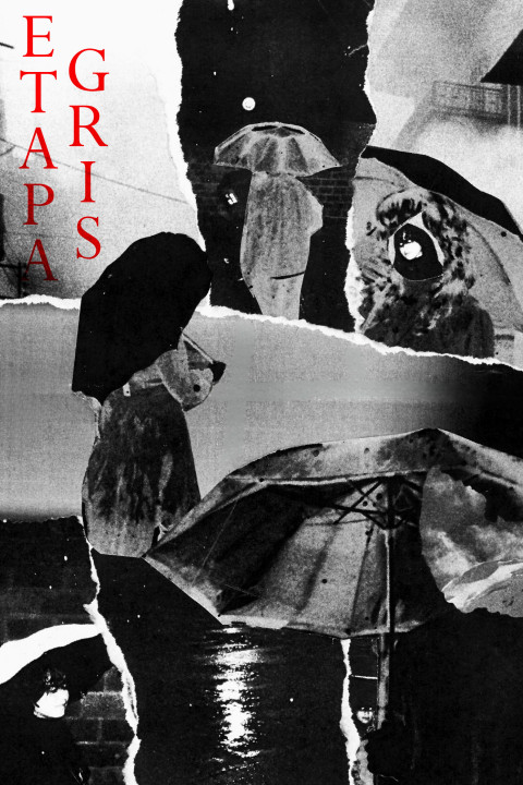 Etapa Gris (2026)